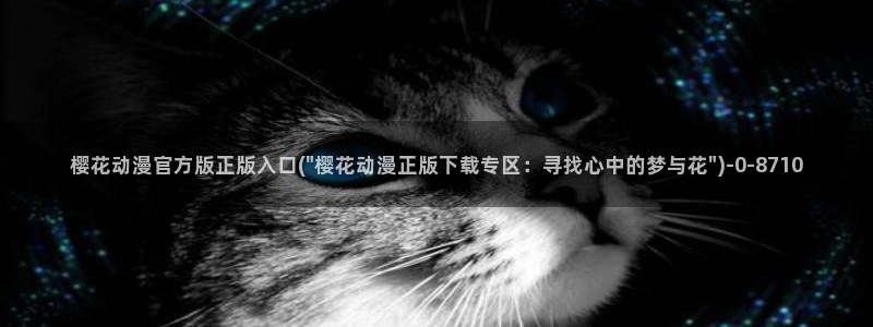 樱花动漫缘之空