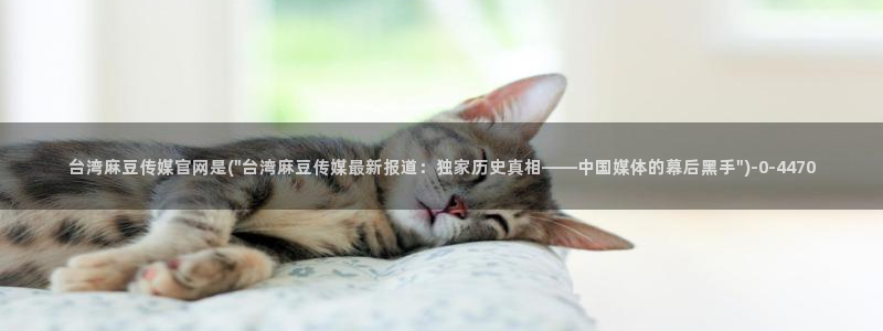 麻豆影视站