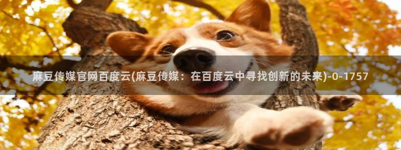 麻豆视频下载