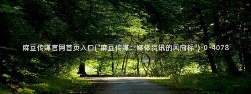 麻豆视频内链
