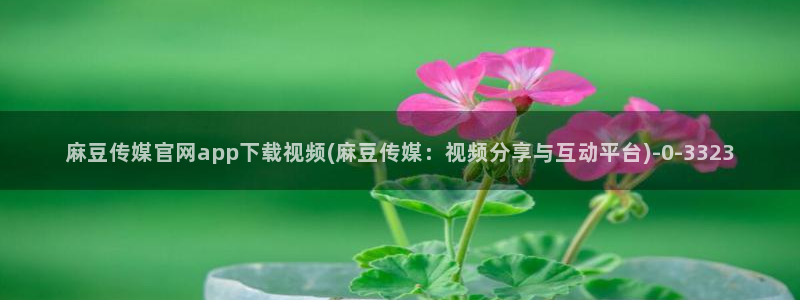 麻豆新片