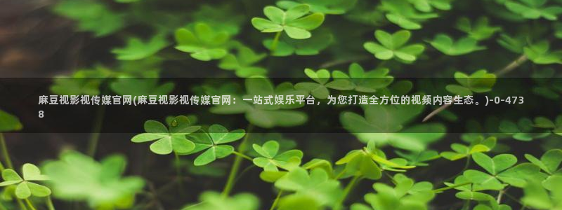 麻豆SEO模板
