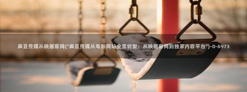 麻豆演员资料