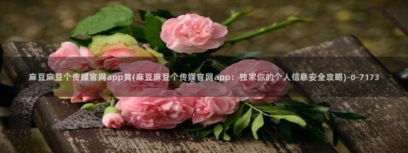 麻豆视频站关键词