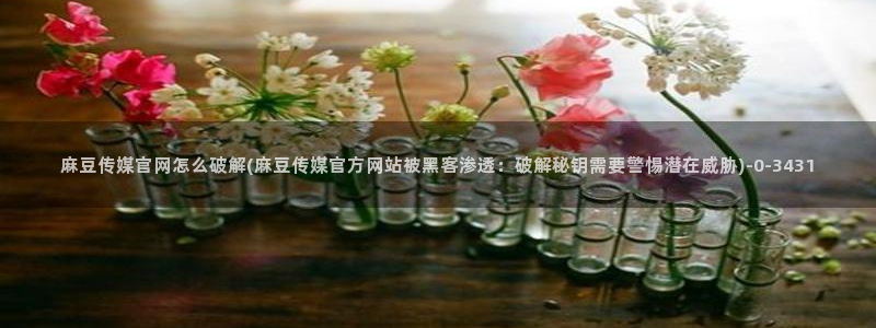 麻豆演员资料