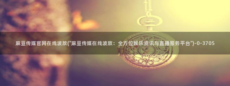 麻豆视频描述规则