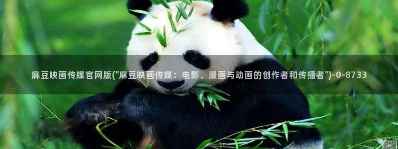 麻豆视频资料文案