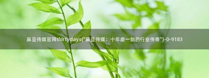 麻豆高清视频