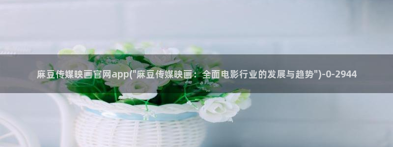 麻豆视频内容聚合