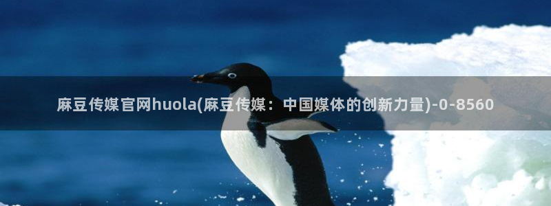 麻豆视频内容质量：麻豆传媒官网huola(麻豆传媒：中国媒体的创新力量)