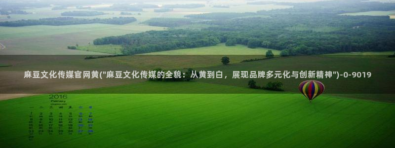 麻豆视频标签规划：麻豆文化传媒官网黄(\