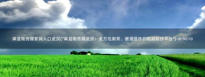 麻豆系列视频：麻豆视传媒官网入口武汉(\