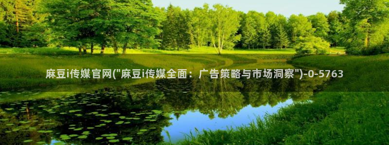 麻豆演员资料：麻豆i传媒官网(\