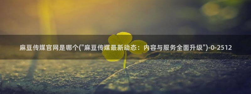 麻豆视频站