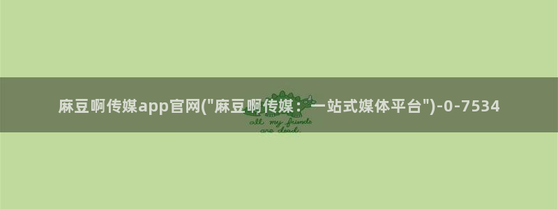 麻豆演员描述
