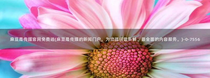 麻豆百度收录