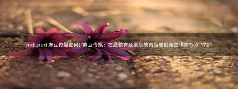 麻豆视频演员文案
