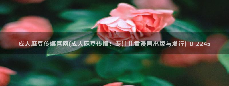 麻豆视频描述规则