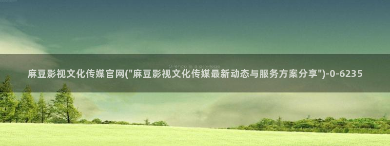 麻豆视频自动更新