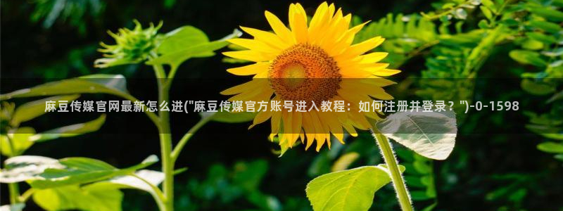 麻豆视频关于我们