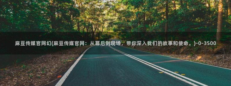 麻豆视频资料维护