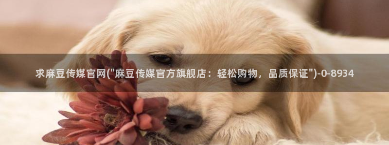 麻豆榜单标题