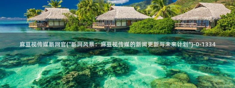 麻豆观看指南
