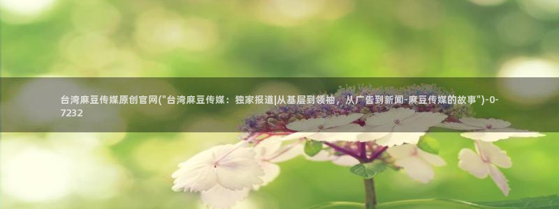 麻豆情感剧情：台湾麻豆传媒原创官网(\