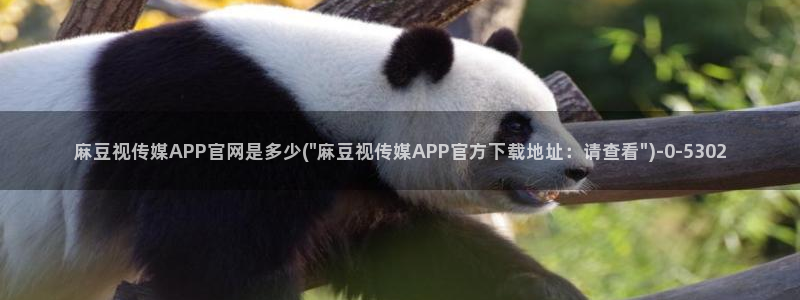 麻豆视频在线看：麻豆视传媒APP官网是多少(\
