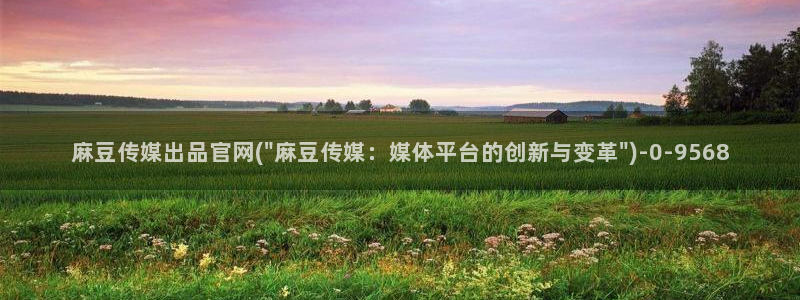 麻豆高口碑视频
