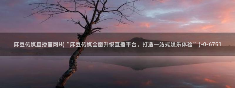 麻豆视频相关搜索