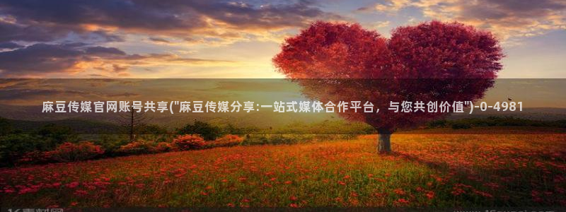 麻豆资源站模板
