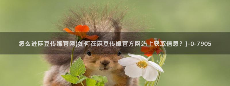 麻豆视频模板标签