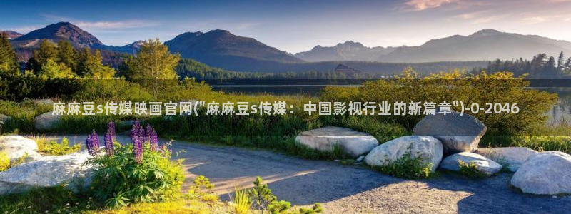 麻豆视频文章标题