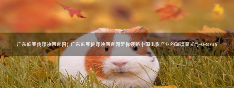 麻豆视频采集
