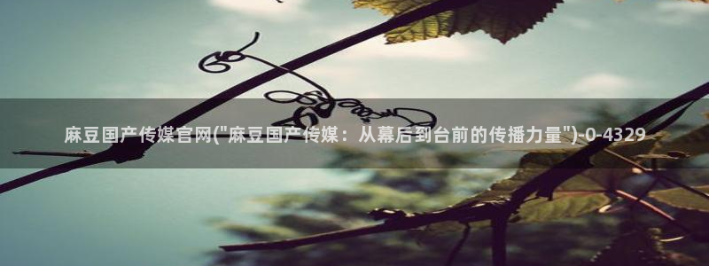 麻豆视频搜索词