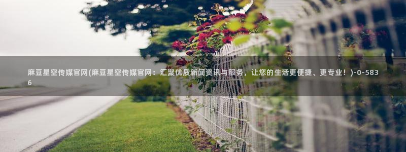 麻豆视频下载