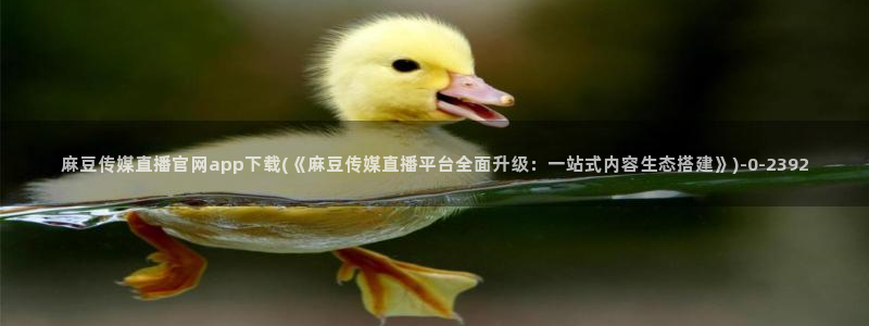 麻豆视频详情文案